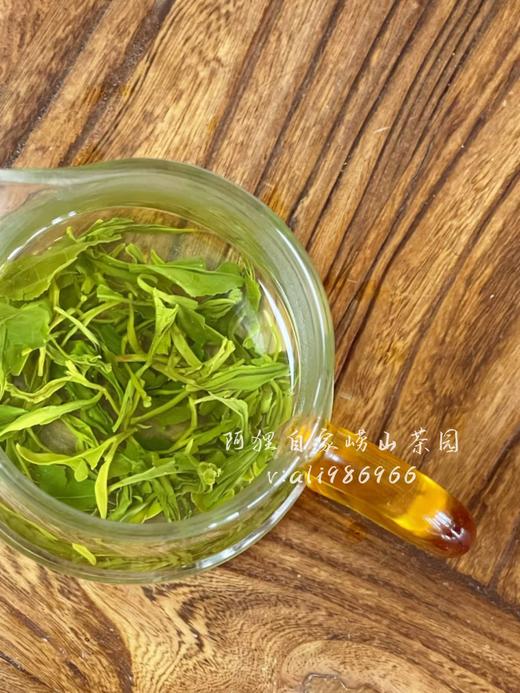 阿狸自家崂山茶园 崂山绿茶 滚筒重香 商品图0