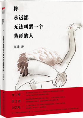 你永远都无法叫醒一个装睡的人 周濂 著