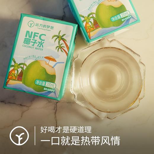 NFC纯椰子水 200ml*10盒 商品图0