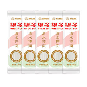 【山东·望乡】黄金优麦区 清水挂面 100g*10袋装 小包装更方便  挂面面条细面 