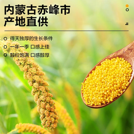 【北纯】 敖汉黄小米礼盒3.2kg 商品图4