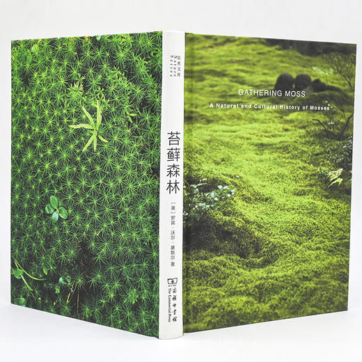 苔藓森林(自然文库) 商品图8