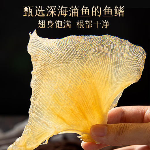 【中秋礼盒】珍悉 海参鲍鱼鱼翅灵芝礼盒245g 珍馐美馔 悉心奉献 商品图7