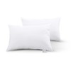 LOVO罗莱旗下乐蜗家纺静怡呵护枕(到手两个枕头)【分仓直发，72小时发货，周末节假日不发货】 商品缩略图2