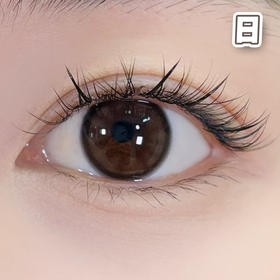 #Lola 杨梅冰 巧棕 14.2mm 【10片装】舒适推荐 / 进口日抛