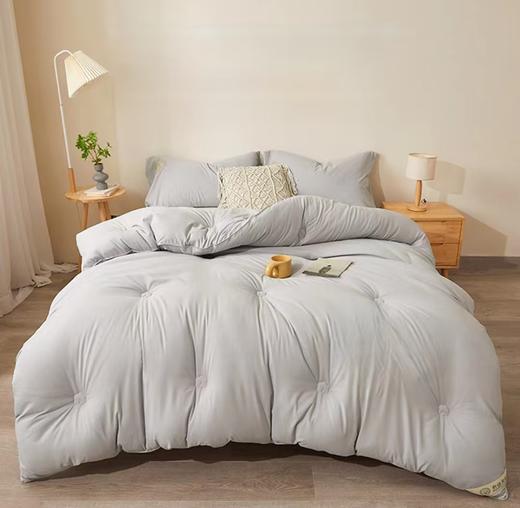 甄选森妮助眠冬被G117400003 商品图1
