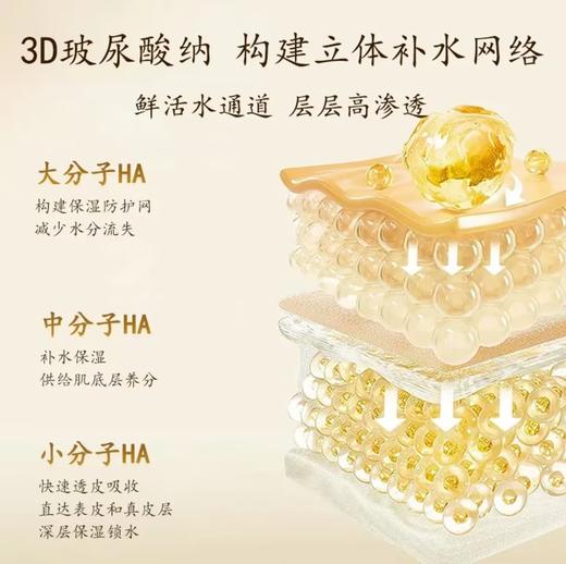 【紧致轮廓充盈胶原】重组胶原蛋白次抛精华液 充盈胶原 多维淡纹 紧致轮廓 商品图1