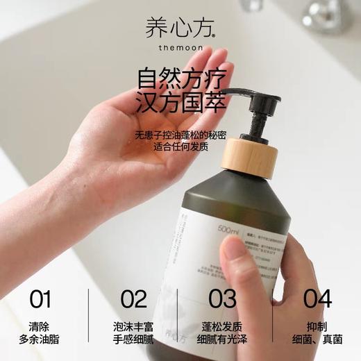 养心方 无患子控油蓬松洗发露原浆洗发水 商品图1