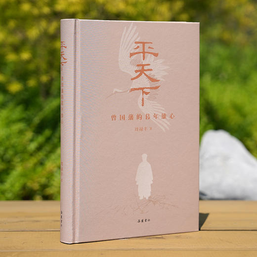 平天下：曾国藩的暮年雄心 商品图1