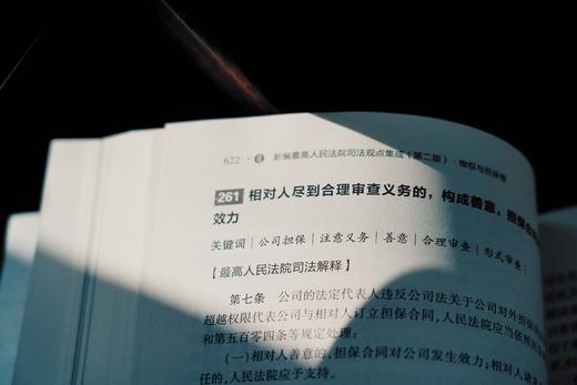 新编最高人民法院司法观点集成（第二版）·民事系列：总则卷、合同卷、物权与担保卷 商品图10