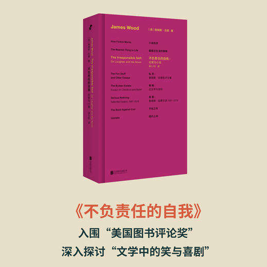 詹姆斯·伍德系列（《真看》《私货》《破格》《不负责任的自我》《不信之书》单本任选，无《小说机杼》） 商品图4