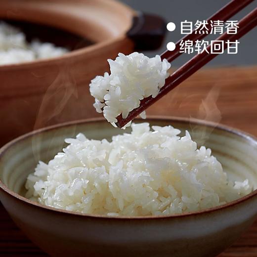 初萃五优稻4号五常特别栽培大米5kg-真空（新老包装随机发货哦~） 商品图4