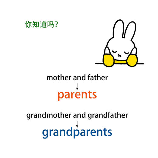 《米菲幼儿启蒙认知绘本》（全45册） 商品图5