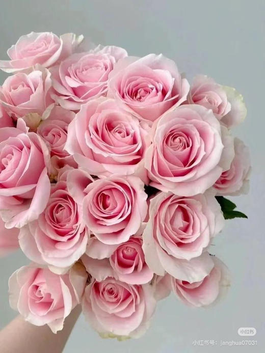 隆鑫粉雪山 商品图0