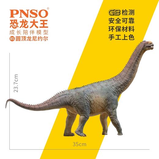 PNSO圆顶龙尼约尔恐龙大王成长陪伴模型85 商品图2