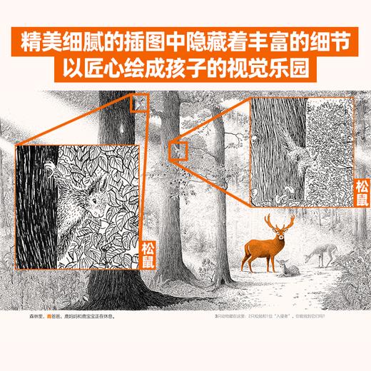 寻找森林中的100只动物 商品图1