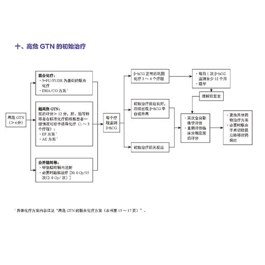 正版包邮 中国妇科肿瘤临床实践指南2024版上卷全七册 妇科肿瘤学 妇科肿瘤学新理论 人性化的诊疗原则 科学技术文献出版社9787523516638 商品图3