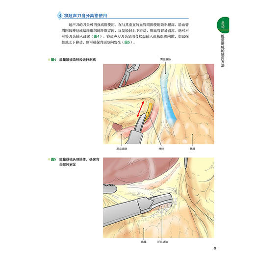 令和腹腔镜下胃手术 吴永友腹腔镜下胃肠手术入门腔镜检查胃肠手术入门技巧消化道癌症手术基本入门辽宁科学技术出版9787559135582 商品图4