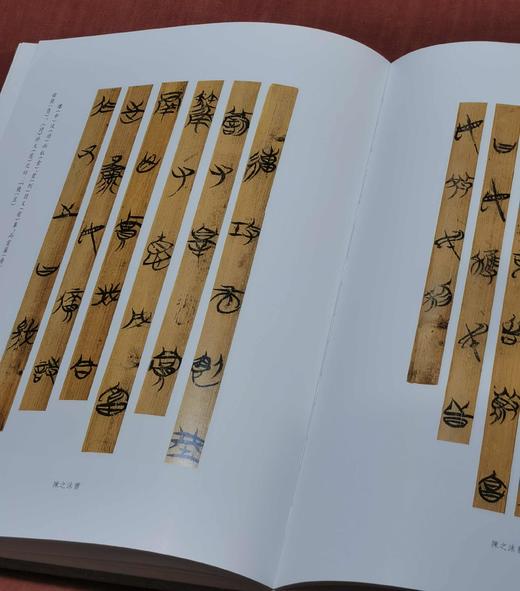《战国竹简书法艺术》，8开，布面精装，濮茅左著，铜版彩印，中西书局2020年一版一印，定价680，售价258元。品95成。 商品图10