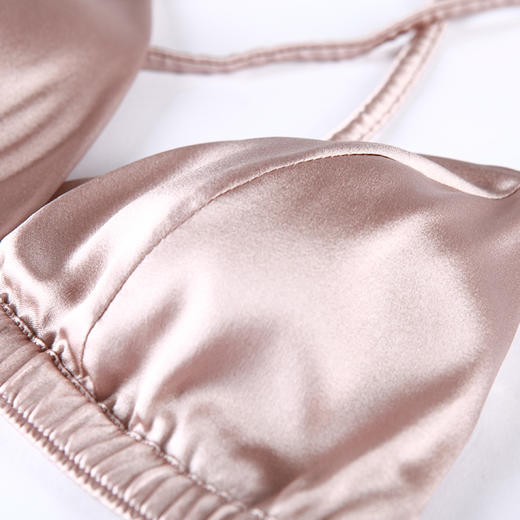 金三塔里外桑蚕丝真丝无钢圈文胸三角杯法式性感薄款美背光面内衣（限价款） NSF8A301 商品图4