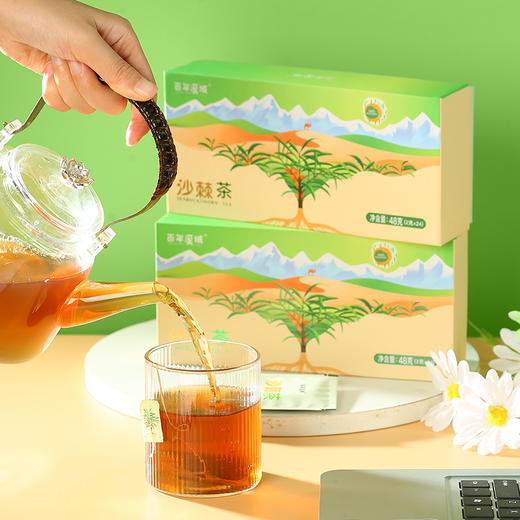 s【优选】百年溪域沙棘茶 茶包冲饮 48克/盒 商品图0