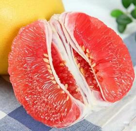 【小号】红文旦柚 |水果