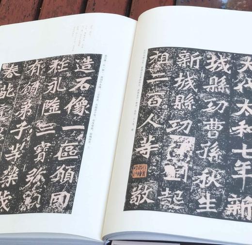 中国传世经典书法评鉴三种：《魏碑卷》《隶书卷》《简书卷》，精装8开，王念祥等编著，湖北美术出版社2022年一版一印，340+402+195页，分别定价328、358、198元，分别售价78、88、49 商品图5