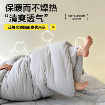 南极人被子 春秋四季被双人被芯被褥棉被空调被5斤 200*230cm灰色 商品图2