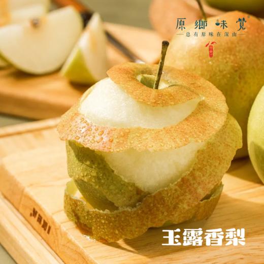 【现发红香酥梨】生态皇冠梨/红香酥梨/玉露香梨（基地直发-顺丰包邮）| 多种规格，来自河南鲁山，生产者：老铁（铁国伟）【合作生产，公平贸易】 商品图2