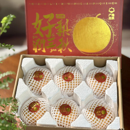 热卖！爆汁！山东莱西秋月梨 净重4.5斤 新鲜当季水果 商品图6