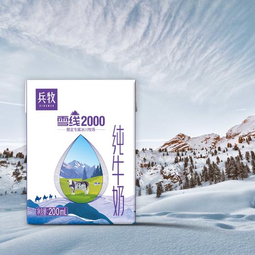 兵牧雪线2000纯牛奶（200ml*10盒/提） 商品图1