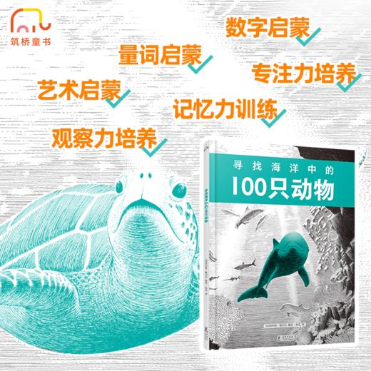 寻找海洋中的100只动物 商品图2