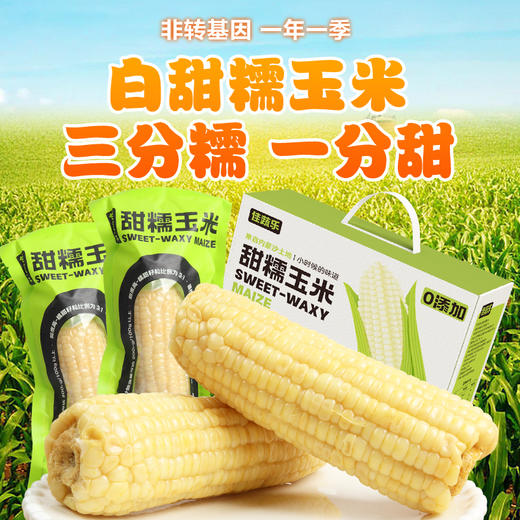 优选|内蒙古沙地玉米  3小时锁鲜 甜糯香甜  非转基因  200g-*8根 商品图5