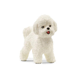 思乐 比熊犬SCHC13963