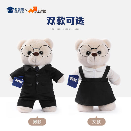 【教师熊】创意站姿小熊毛绒公仔送老师玩偶摆件 商品图5