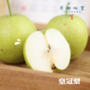 【现发红香酥梨】生态皇冠梨/红香酥梨/玉露香梨（基地直发-顺丰包邮）| 多种规格，来自河南鲁山，生产者：老铁（铁国伟）【合作生产，公平贸易】 商品缩略图5