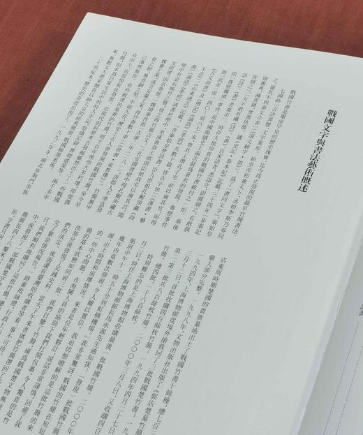 《战国竹简书法艺术》，8开，布面精装，濮茅左著，铜版彩印，中西书局2020年一版一印，定价680，售价258元。品95成。 商品图4