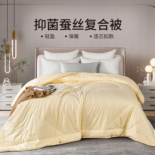 雅芳婷专柜同款冬季加厚保暖被芯抑菌防螨复合蚕丝被冬被连芯扣 商品图0