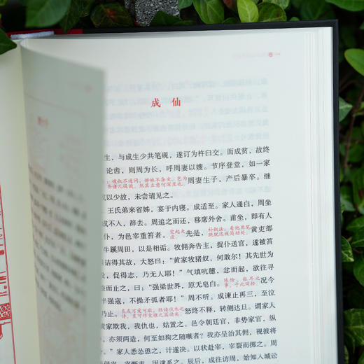 冯镇峦批评本聊斋志异 商品图4