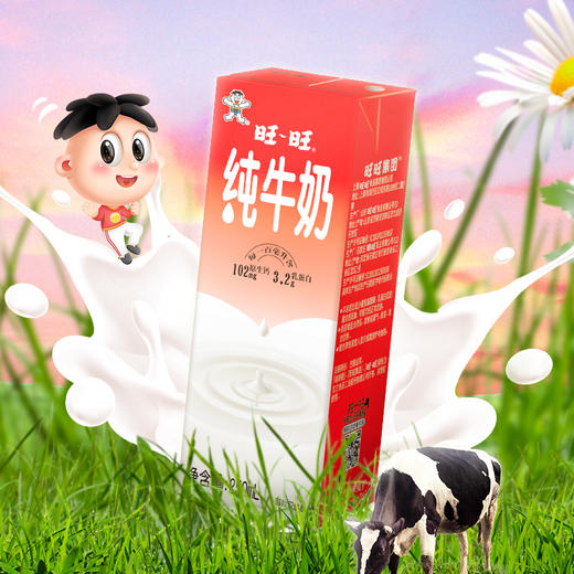 【两提一组】旺旺纯牛奶 250ml*24*2提 商品图1