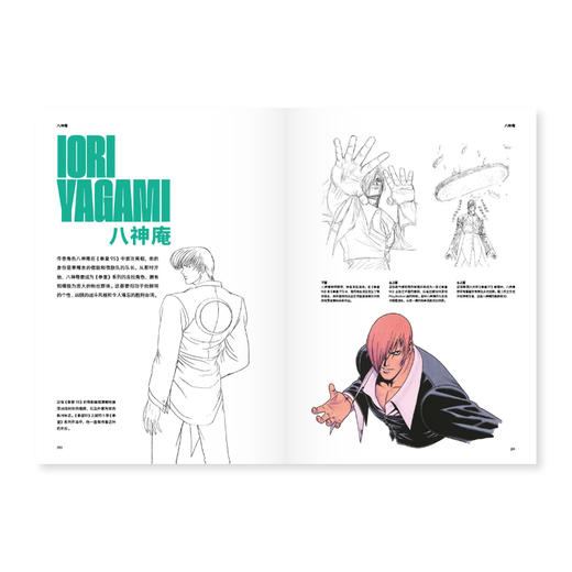 《拳皇终极历史》 商品图3