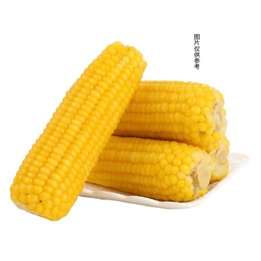 黄玉米600g-700g/份 商品图0