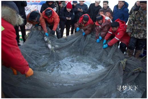 东北冬摄——查干湖冬捕、扎龙丹顶鹤、吉林雾凇、长白山、镜泊湖、雪乡、东北虎摄影创作团11天  +  B线：黑龙江冰雪深度9天（黑龙江大平台雾凇、五大连池、大菁山、伏尔加庄园俄罗斯风情） 商品图13