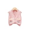 女童针织马甲春秋外穿2024宝宝毛衣婴儿毛线马夹婴儿卡通毛衣背心 商品缩略图4