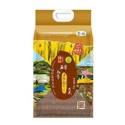 初萃五优稻4号五常特别栽培大米5kg-真空（新老包装随机发货哦~） 商品图1
