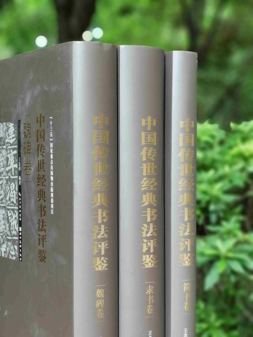 中国传世经典书法评鉴三种：《魏碑卷》《隶书卷》《简书卷》，精装8开，王念祥等编著，湖北美术出版社2022年一版一印，340+402+195页，分别定价328、358、198元，分别售价78、88、49 商品图1