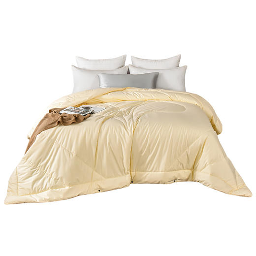 雅芳婷专柜同款冬季加厚保暖被芯抑菌防螨复合蚕丝被冬被连芯扣 商品图4