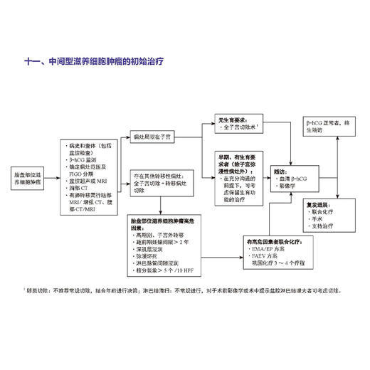 正版包邮 中国妇科肿瘤临床实践指南2024版上卷全七册 妇科肿瘤学 妇科肿瘤学新理论 人性化的诊疗原则 科学技术文献出版社9787523516638 商品图4