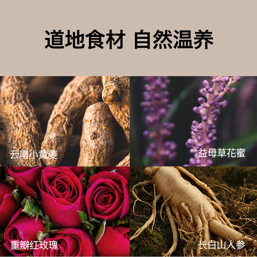 【内问】人参红石榴饮蜜液女性冲饮 商品图5