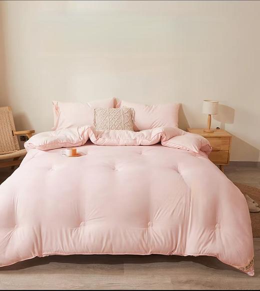 甄选森妮助眠冬被G117400003 商品图0
